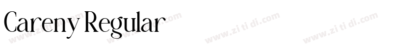 Careny Regular字体转换 Careny Regular字体转换